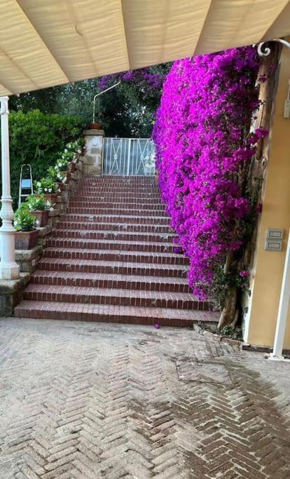 Villa Vie En Rose سورينتو المظهر الخارجي الصورة